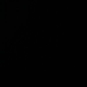 Meet your Posher, Jaquez